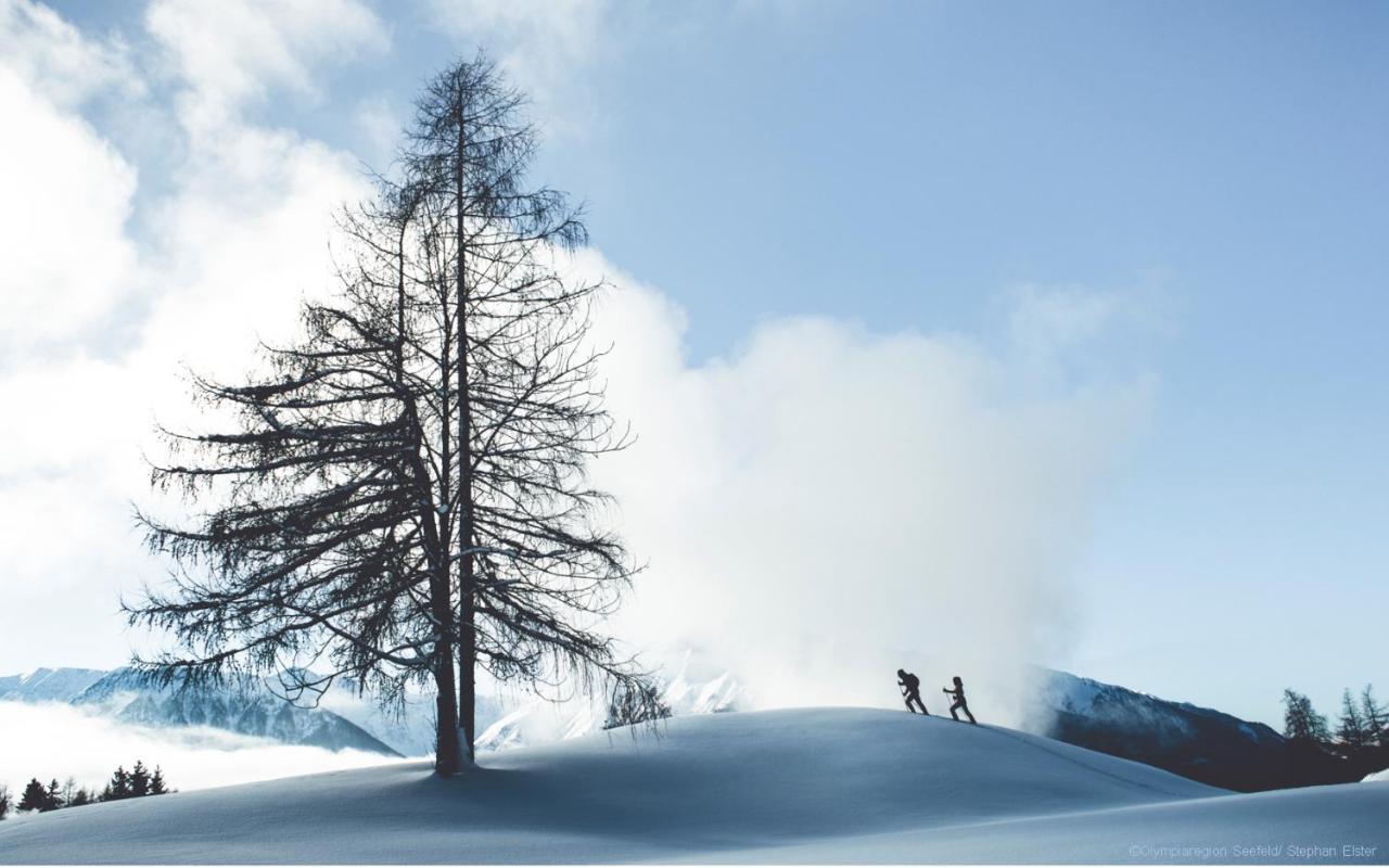 Das Valdo Apartman Seefeld in Tirol Kültér fotó